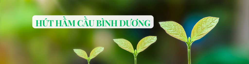 Top 5 Công Ty Hút Hầm Cầu Tại Tỉnh Bình Dương Uy Tín