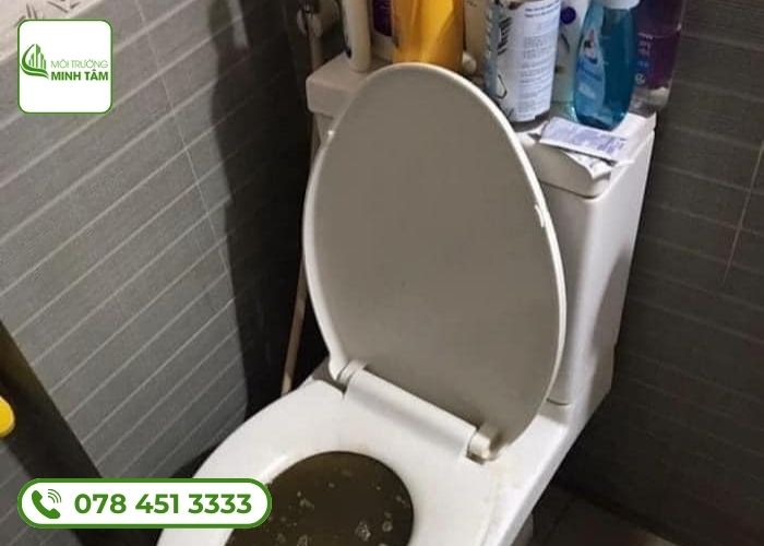 Thông bồn cầu nghẹt tại Lâm Đồng - Báo giá rẻ 22 Thông bồn cầu nghẹt tại Lâm Đồng Môi Trường Minh Tâm (4)