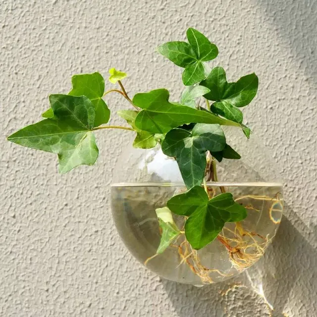 cay xanh khu mui 789