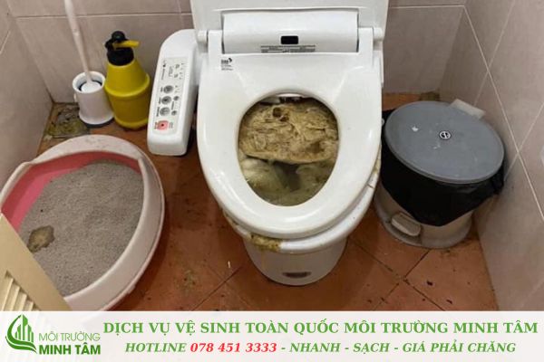Thông tắc bồn cầu tại Ninh Bình - Phục vụ 24/7, giá từ 100k 16 thong-tac-bon-cau-tai-ninh-binh