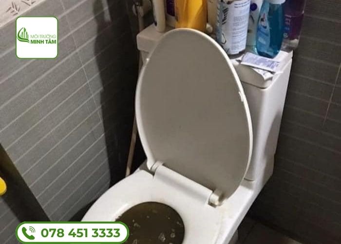 Dịch vụ thông bồn cầu nghẹt tại Phú Giáo - Môi Trường Minh Tâm
