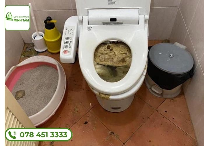 Dịch vụ thông bồn cầu nghẹt tại Phú Mỹ - Môi Trường Minh Tâm (3)