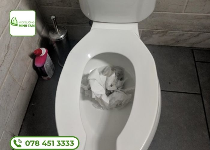 Dịch vụ thông bồn cầu nghẹt tại Tân Thạnh - Môi Trường Minh Tâm (5)