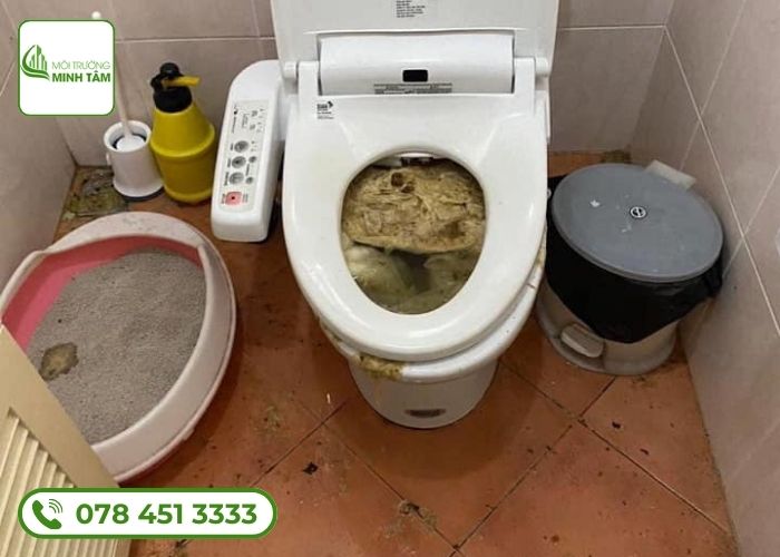 Những bước thực hiện dịch vụ thông bồn cầu nghẹt tại Ngọc Hiển của Môi Trường Minh Tâm