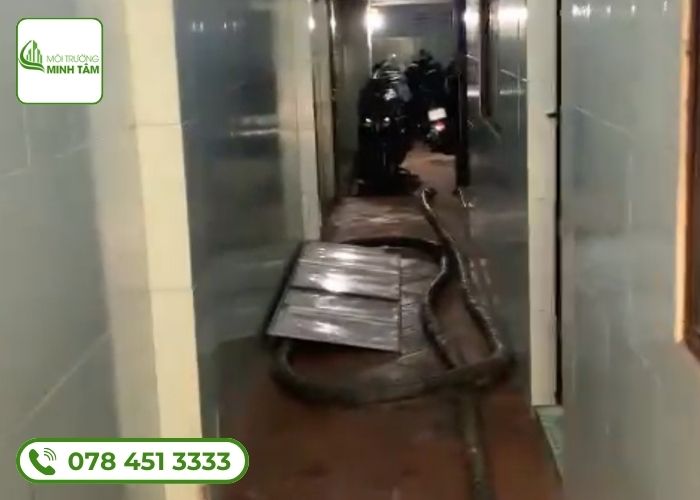 hut-be-phot-tai-ba-che 1