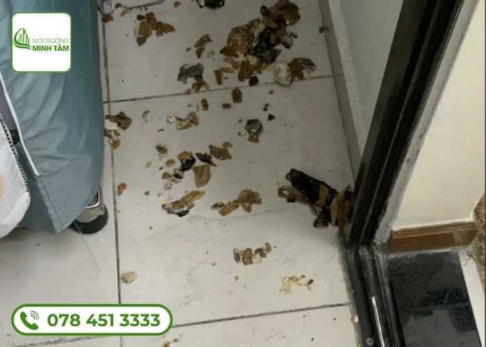 thông cống nghẹt tại Đắk Rlấp-2