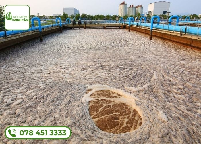 Minh Tâm chuyên mua bán bùn vi sinh TPHCM chất lượng cao 11 Bùn vi sinh là gì