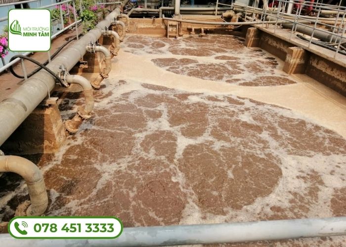 Minh Tâm chuyên mua bán bùn vi sinh TPHCM chất lượng cao 12 Các loại bùn vi sinh hiện nay