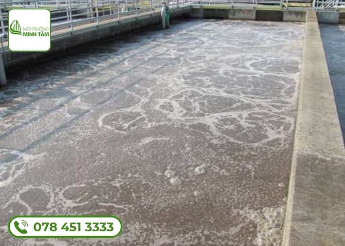 Mua bán bùn vi sinh Tân Hưng, Long An – Bùn chuẩn, đúng hẹn 8 mua-ban-bun-vi-sinh-tan-hung