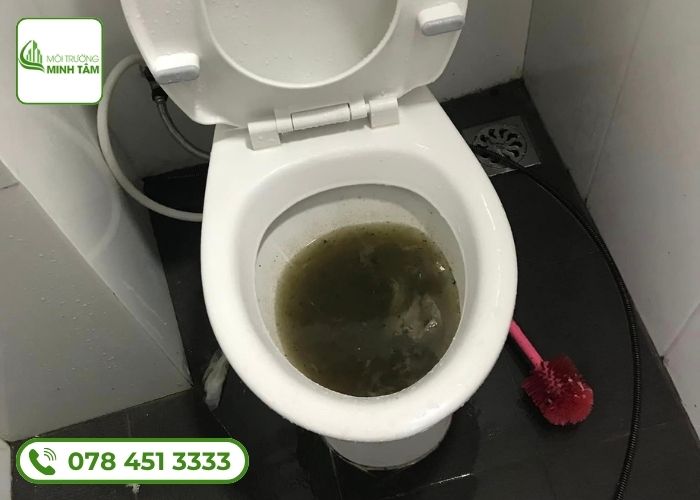 Thông tắc bồn cầu tại thành phố Từ Sơn, Bắc Ninh - Sạch Nhanh Gọn 17 thong-tac-bon-cau-tai-thanh-pho-tu-son